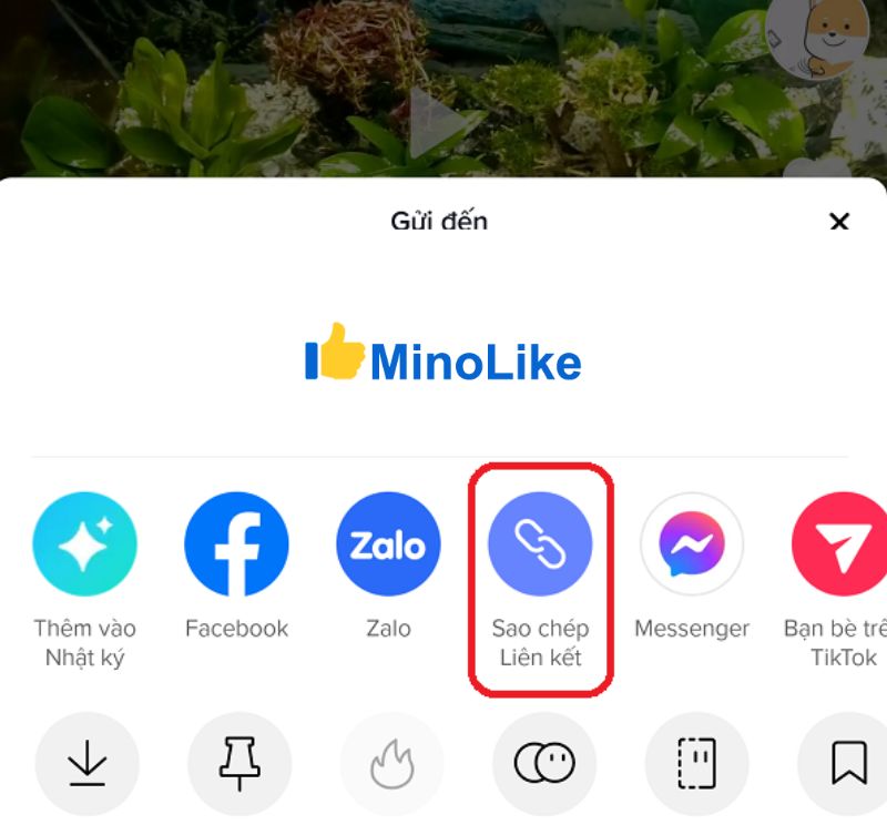 Sao chép liên kết