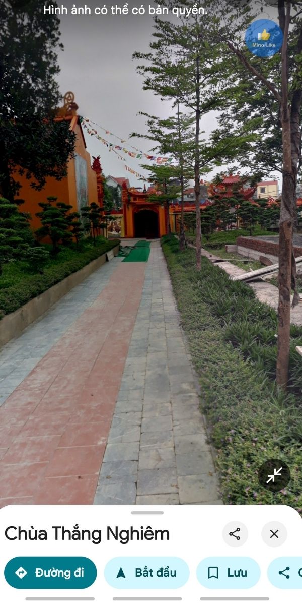Tua lại thời gian